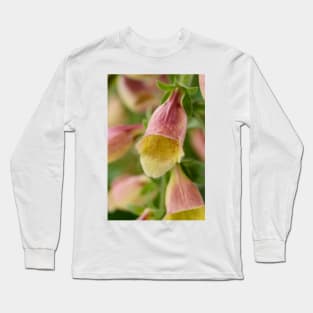 Digitalis  &#39;Polkadot Pandora&#39;  Foxglove Long Sleeve T-Shirt